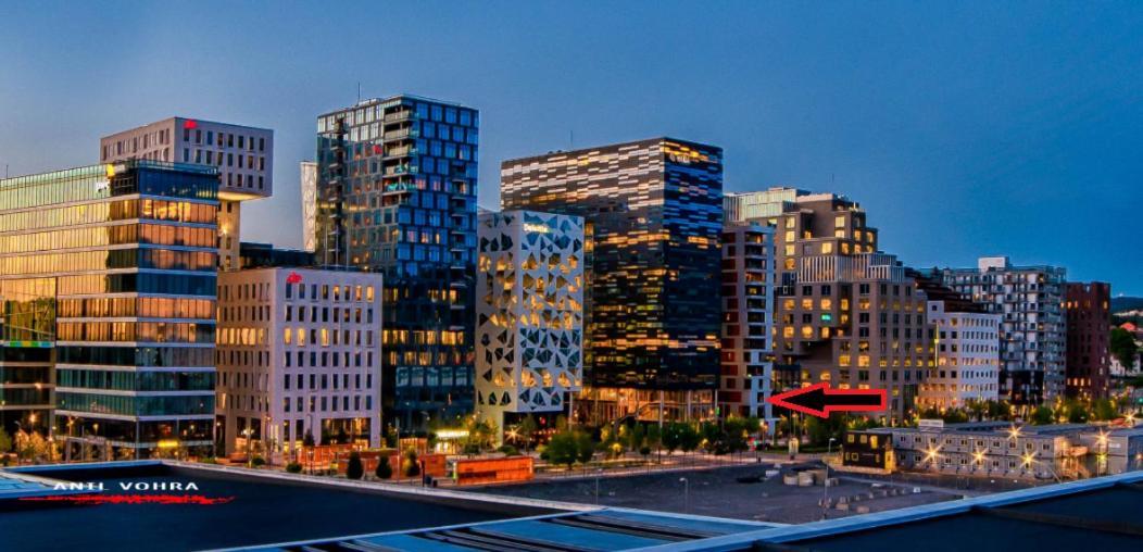 Spacious Modern 3Br Apartment At Central Oslo Barcode Kültér fotó